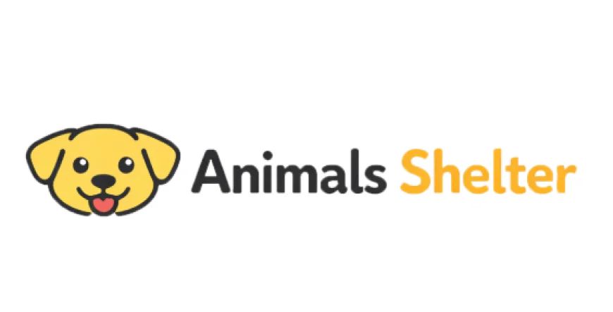 Animal Shelter Near Me: Finding a Safe Haven for Animals and a Loving Companion