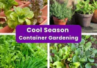 Fall Container Gardening: Veggies, Herbs & Native Plants