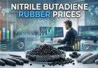 Nitrile Butadiene Rubber Prices Trend Analysis with Index and Quarterly Forecast Prices