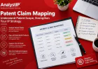 Patent Claim Mapping: Understanding Patent Scope and IP Protection