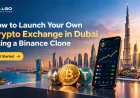 How to Launch Your Own Crypto Exchange in Dubai Using a Binance Clone
