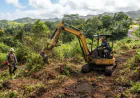 Land Clearing Services in Haiku, HI: Preparing Your Property for Success