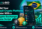 Build Your Brazil Crypto Platform Faster With a Crypto Exchange Clone Script