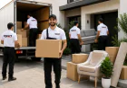 Moving House in Balaclava? 7 Steps to Make the Process Easier