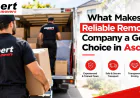What Makes a Reliable Removalist Company a Good Choice in Ascot?