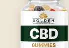 How often can I use Golden Touch Fusion Pain Relief?