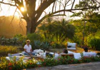 Exploring Psychedelic Immersion in Costa Rica