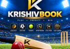 Online Cricket Betting ID: A Guide to Cricket Gaming Accounts and Safe Digital Access