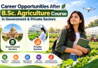 Career Opportunities After B.Sc. Agriculture in Government & Private Sectors