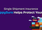 Single Shipment Insurance: How ZippySure Helps Protect Your Cargo