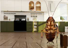 Does Professional Cockroach Control Really Work? What to Expect, Day by Day