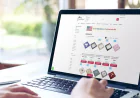 Should You Choose Plain or Printed Wholesale Boxes?