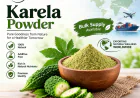 Karela Powder for Nutraceutical Manufacturers: Bulk Supply, Quality Standards and Private Label Solutions