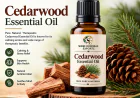 Cedarwood Essential Oil for Perfume Manufacturers: Bulk Supply and Wholesale Solutions