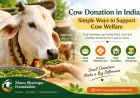 Cow Donation in India: Simple Ways to Support Cow Welfare
