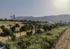 Should You Consider Farmhouse Land in Shahpura?
