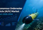 Autonomous Underwater Vehicle (AUV) Market Growth: Size, Government Policy & Maritime Investment Trends 2026-2034