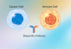 Global Bispecific Antibodies Market Size, Trends, and Growth Opportunities