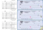 Key Features to Look for in Business Payroll Checks