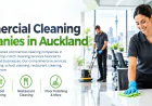 Commercial Cleaning Companies in Auckland: How to Choose