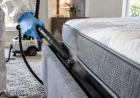 What Should Digital Temperature Reports Reveal After a Bed Bug Heat Treatment?