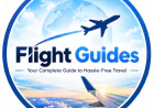 Flight Counters