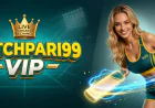 What Is Matchpari99 VIP Live Cricket Exchange and How Does It Work?
