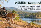 Wildlife Tours India: Choose the Right Park for Better Wildlife Viewing