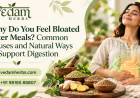 Why Do You Feel Bloated After Meals? Common Causes and Natural Ways to Support Digestion