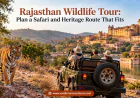 Rajasthan Wildlife Tour: Plan a Safari and Heritage Route That Fits