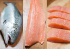 Sixty South Salmon: What Makes Antarctic Salmon Unique?