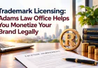 Trademark Licensing: Adams Law Office Helps You Monetize Your Brand Legally