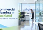 Commercial Cleaning in Auckland: A Practical Guide