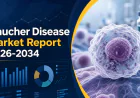 Gaucher Disease Treatment Market: Therapy Classes, Drug Demand & Industry Outlook 2026-2034
