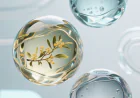 Global Hyaluronic Acid Products Market Growth and Strategic Outlook 2026-2033