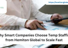Why Smart Companies Choose Temp Staffing from Hemiton Global to Scale Fast