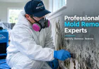 Why Proper Containment Matters During Professional Mold Remediation