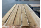 Cedar Siding: Cleaning, Staining, and When to Replace It