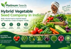 Hybrid Vegetable Seeds | Platinum Seeds