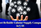 Coordinating Building Systems and Skilled Manpower for UAE Construction Projects