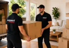 The Hidden Tasks People Forget Before Moving in Avondale Heights