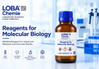 Why Are DNase and RNase Free Reagents Important?