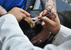 A Practical Guide To Preventive Healthcare For Pets