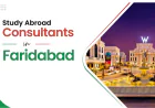 How to Choose the Best Study Abroad Consultants in Faridabad?