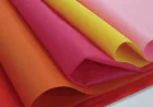Spunbond Nonwoven Market Size, Trends, and Growth Forecast 2026-2033
