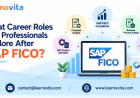 Which Career Paths Can Professionals Choose After SAP FICO?