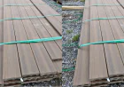 Deck Costs and Materials: A Look Into Your Initial Investment