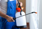 Pest Control Services for a Cleaner, Healthier Property