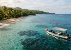 5 Ways to Add Ocean Adventures to Your December Jamaica Itinerary With Boat Trips Club