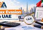 Tax Evasion in UAE: Investigations and Penalties Explained